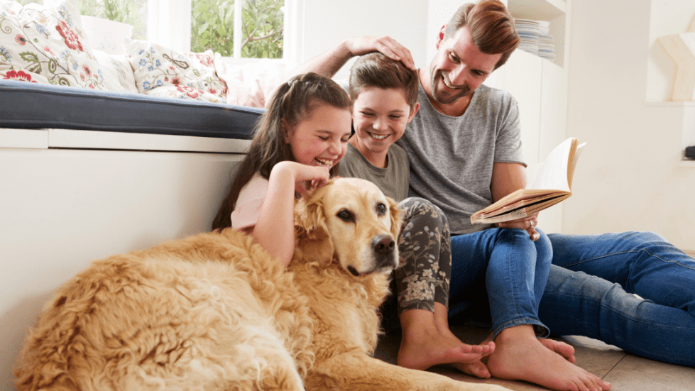 The Hidden HVAC Issues Pet Owners Should Watch for in Florida Homes